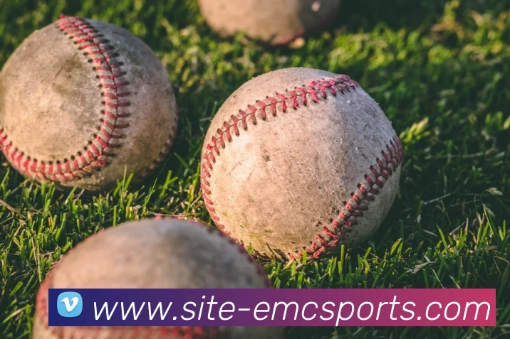 体育下注服务体系